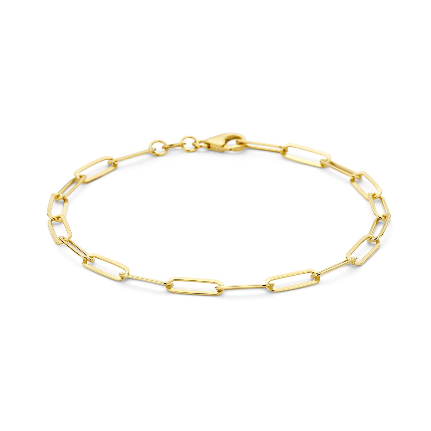 Bibbiena Poppi Felice 925 sterling silver gold plated link bracelet with 14 karat gold plating - Parte di Me